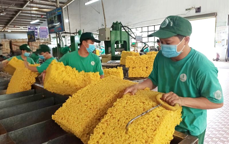 Hưởng lợi giá mủ cao su tăng, Cao su Việt Nam (GVR) báo lãi quý 3 cao gấp đôi 